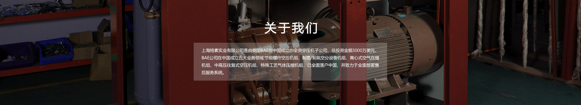 关于格素